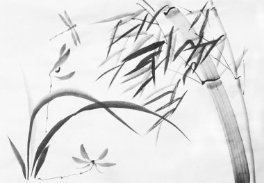 orkide çiçekleri ve yusufçuk