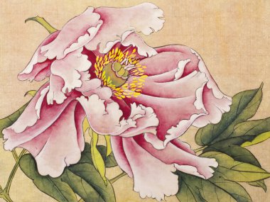 parlak çiçek Şakayık