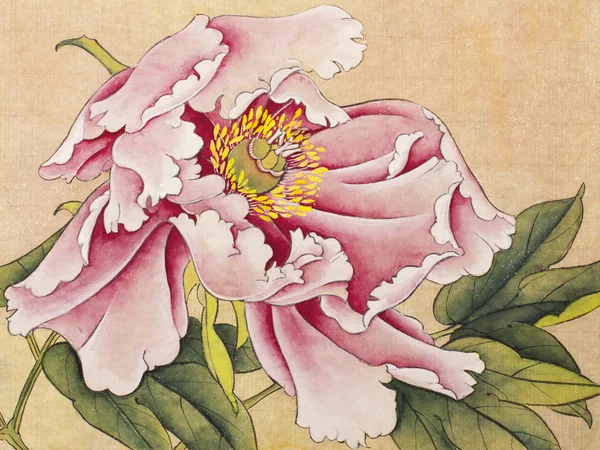 parlak çiçek Şakayık