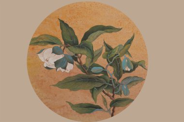 Daire içinde beyaz çiçek