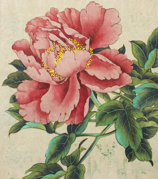 parlak ve hassas Şakayık