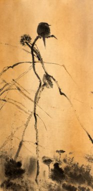 Bir lotus çiçeği kuş