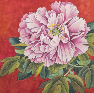 hassas Şakayık çiçeği