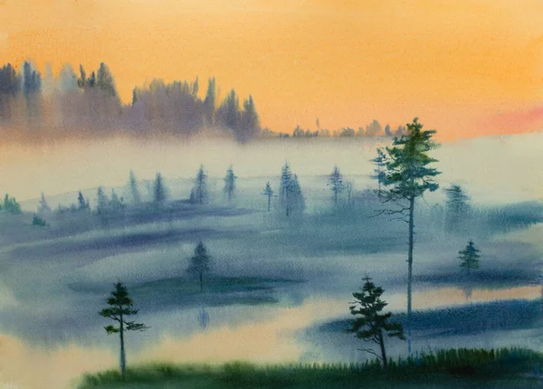 森林沼泽地上的黄雾 — 图库照片
