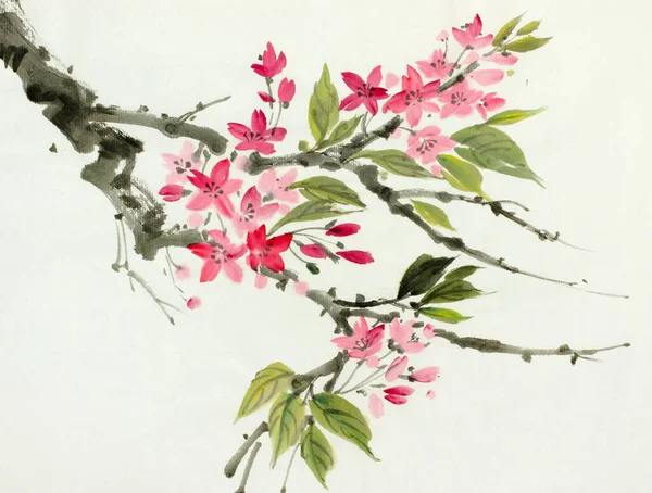 Rama Sakura Floreciente Sobre Fondo Claro —  Fotos de Stock
