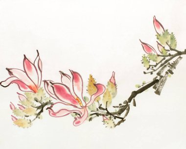 Açık arkaplanda pembe manolya çiçeği