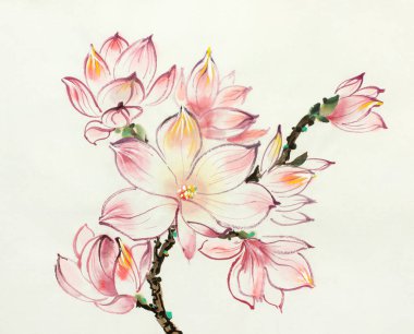 Açık arkaplanda pembe manolya çiçeği