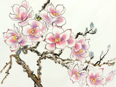 Açık arkaplanda pembe manolya çiçeği