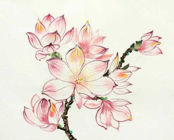 Рожева Квітка Магнолії Світлому Фоні — стокове фото