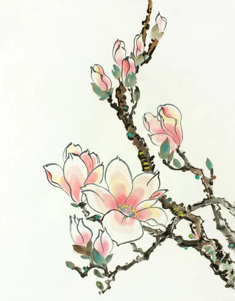 浅色背景的粉红木兰花 — 图库照片