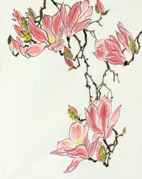 Rosa Magnolia Blomma Ljus Bakgrund — Stockfoto
