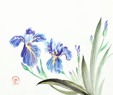 açık arkaplanda mavi süsen çiçekleri