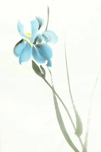Φωτεινό Λουλούδι Της Μπλε Ίριδας Ένα Ελαφρύ Φόντο — Φωτογραφία Αρχείου