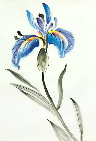 Fiore Luminoso Iride Blu Uno Sfondo Chiaro — Foto Stock