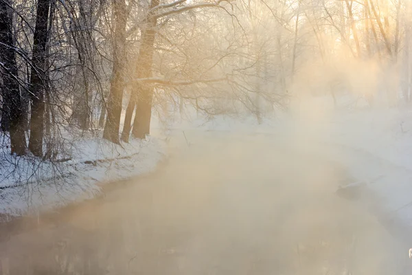 Розовый туман — стоковое фото