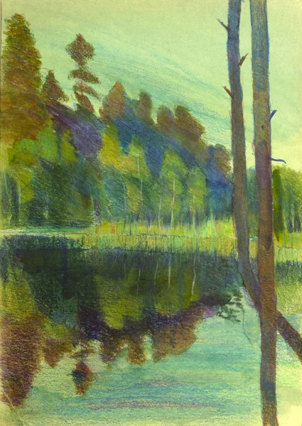 松树和湖 — 图库照片