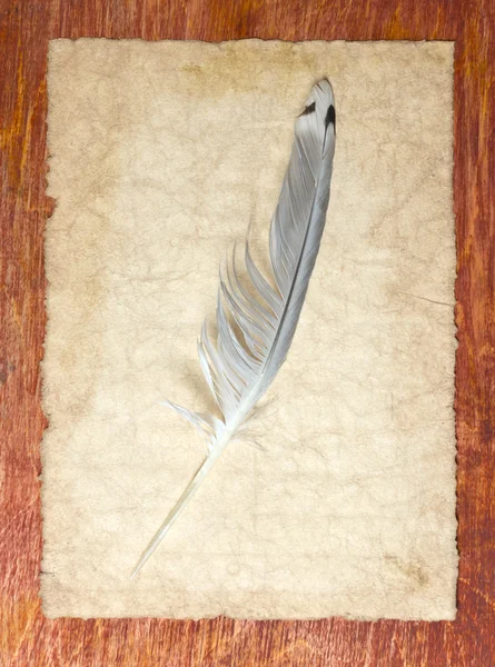 Old paper and quill — Stock Photo, Image