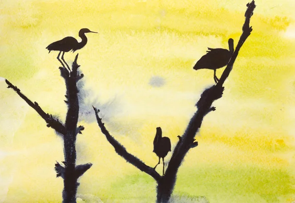 Three storks on a tree — Stock Photo, Image