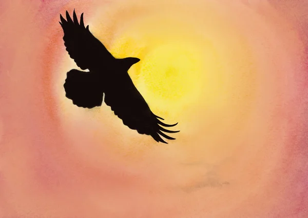 Kråkor i himlen — Stockfoto