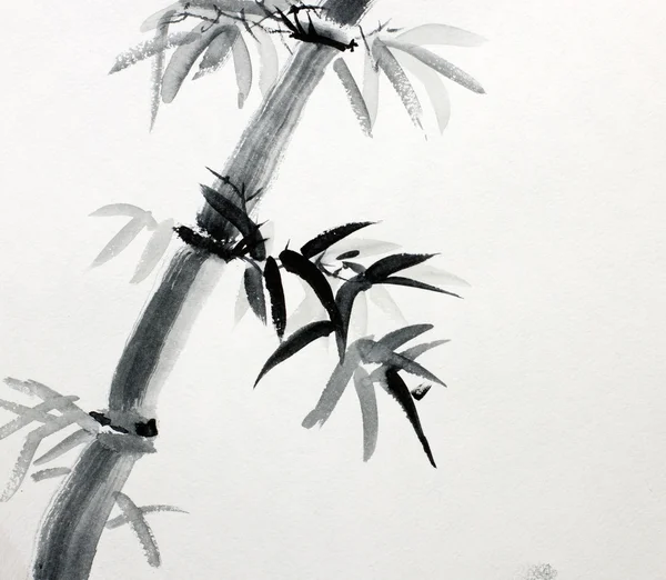 대나무 — 스톡 사진