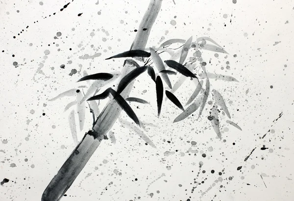 Tek bambu ve yağmur damlaları