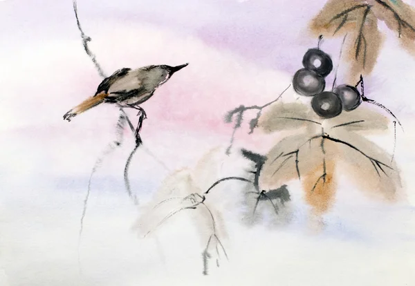 Uccello su ramo — Foto Stock