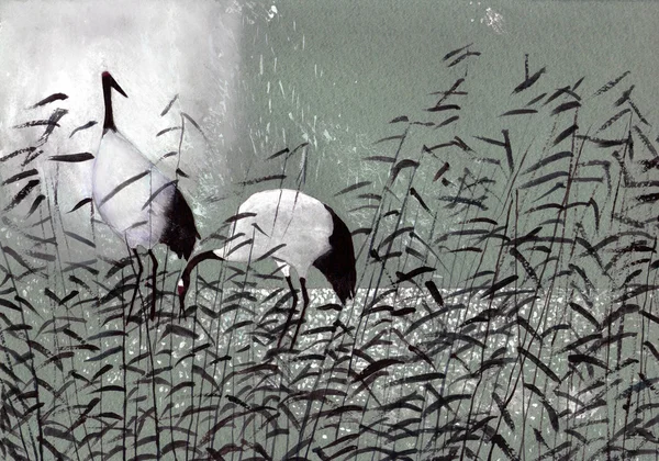 sazlık kuşlar Vinçler