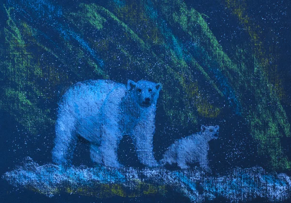 Πολικές αρκούδες λευκό — Φωτογραφία Αρχείου
