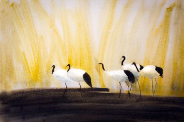 Vinçler sazlık içinde bir grup