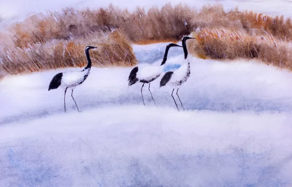 Japanese crane in winter — Stock Photo, Image