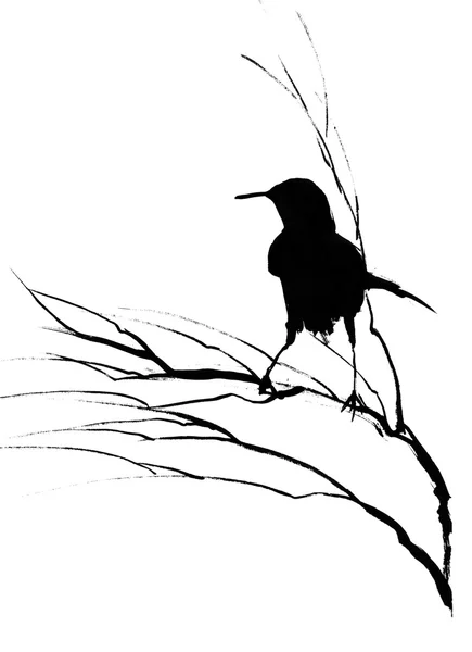 Silhouette dell'uccello — Foto Stock