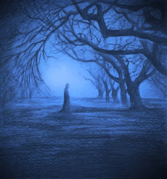 Eenzaamheid in twilight bos — Stockfoto