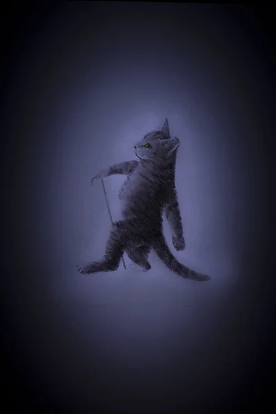 猫用一根棍子 — 图库照片