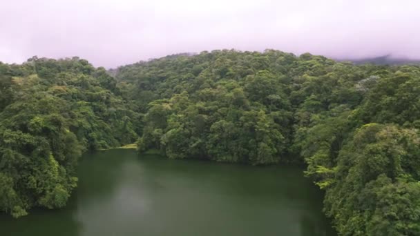 Pesawat Tak Berawak Menembak Dari Danau Pegunungan Hutan Hujan Kosta — Stok Video