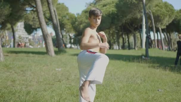 Poseren Kid Pre Tiener Doet Martial Arts Jiu Jitsu Outdoor — Stockvideo