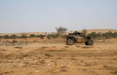 Bira Sheva Çölünde Yarış