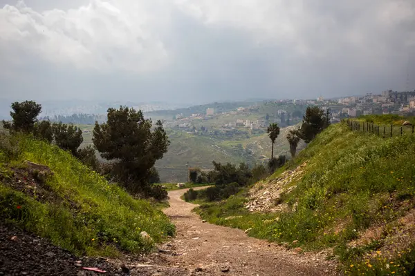 Kudüs ormanının girişi.