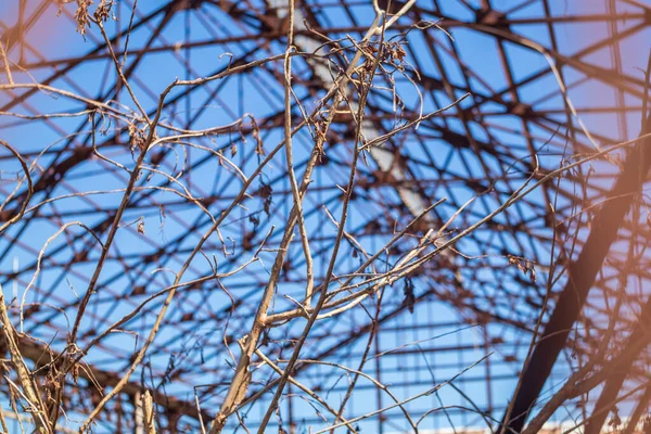 Limanda tamamlanmamış bir bina