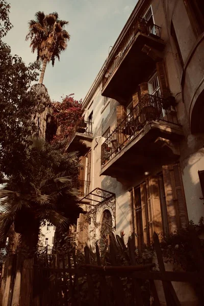 Bitkileri olan eski güzel bir bina.