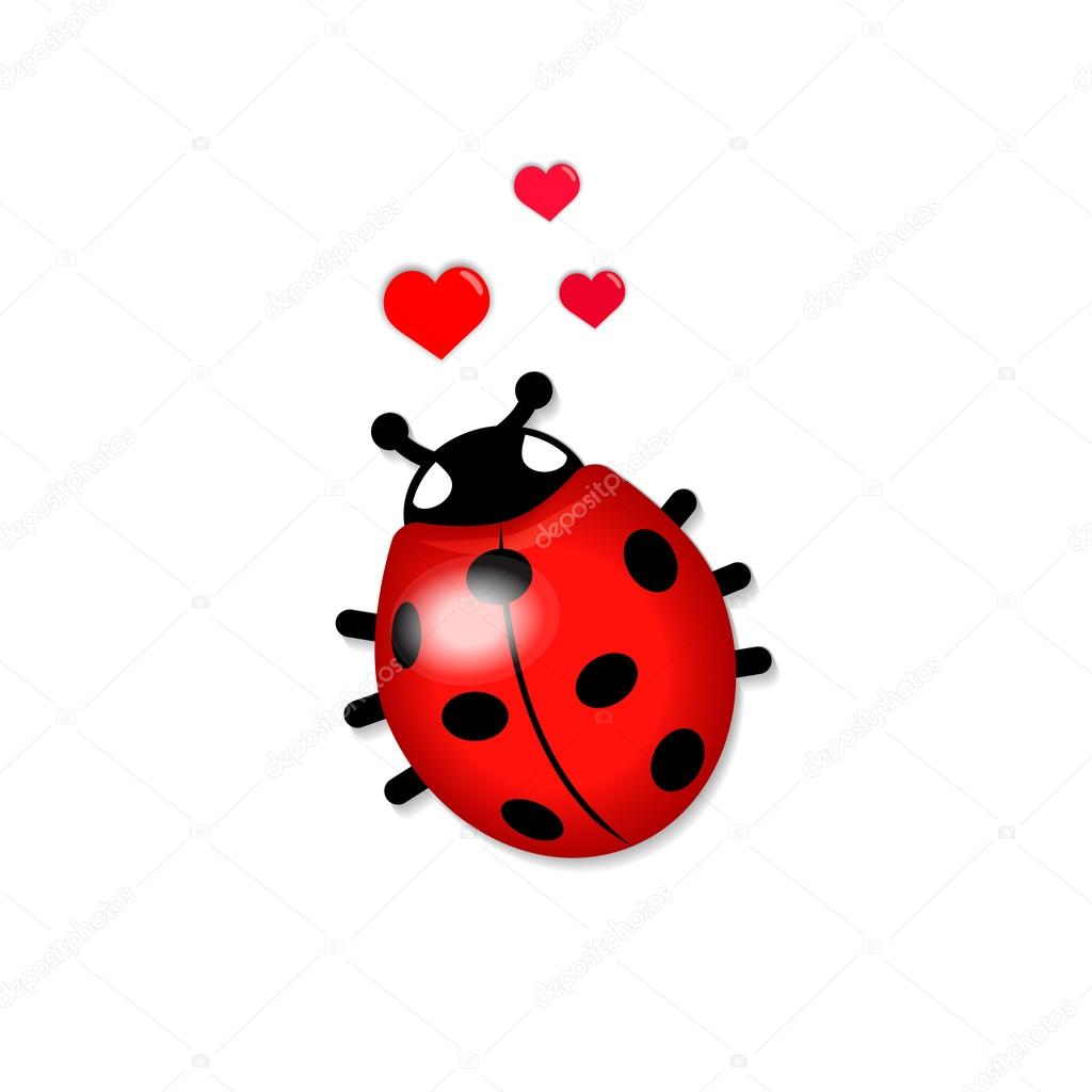 Red ladybug in love