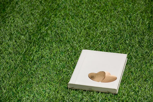 Libro de cuero blanco con corazones dorados tumbados en la hierba — Foto de Stock