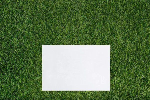Bílý list papíru ležící na trávě — Stock fotografie