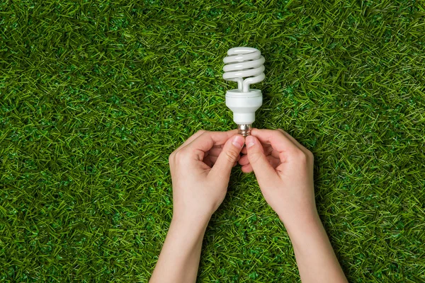 Tasarruflu Eco lamba çim üzerinde tutan eller