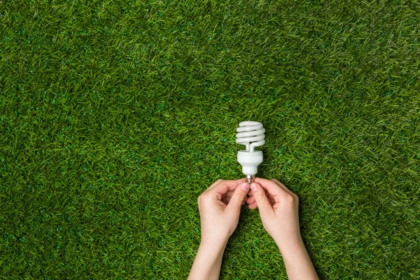 Tasarruflu Eco lamba çim üzerinde tutan eller