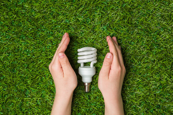 Руки охраняют энергосберегающую эко-лампу вблизи
