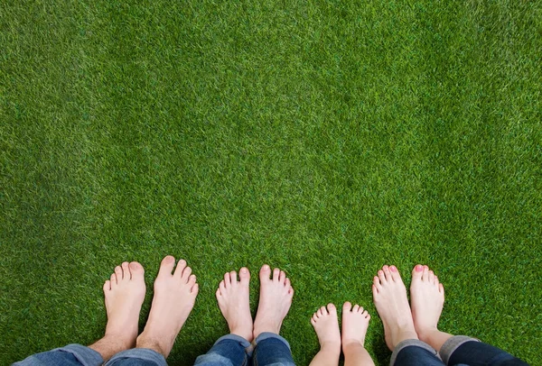 Family legs standing on green grass — Stock Photo, Image