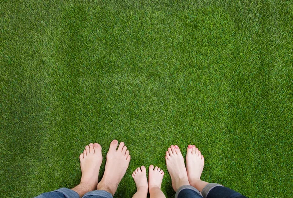 Семейные ноги стоят вместе на зеленой траве — стоковое фото