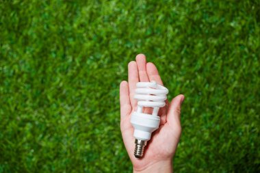 İnsan eli holding enerji tasarruflu lamba yakın çekim