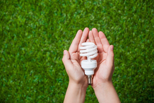 Человеческие руки держат энергосберегающую лампу вблизи
