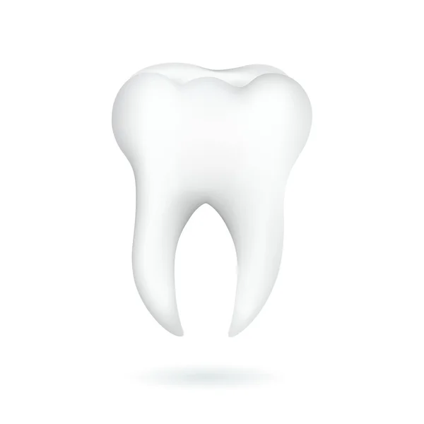 beyaz arkaplanda izole edilmiş diş.